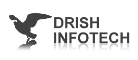 drish infotech 